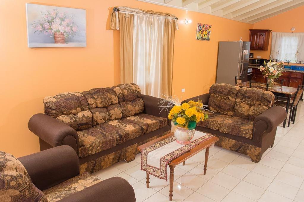 Perfect Vacation Villa Montego Bay Exterior foto